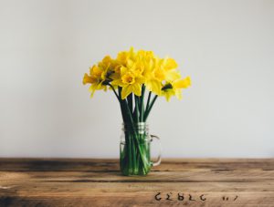 Onderhoudsproducten voor natuursteen, tijd voor de grote schoonmaakbeurt.